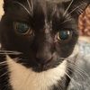 phoebe1695